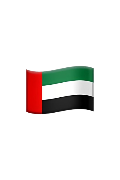 Dubai Flag